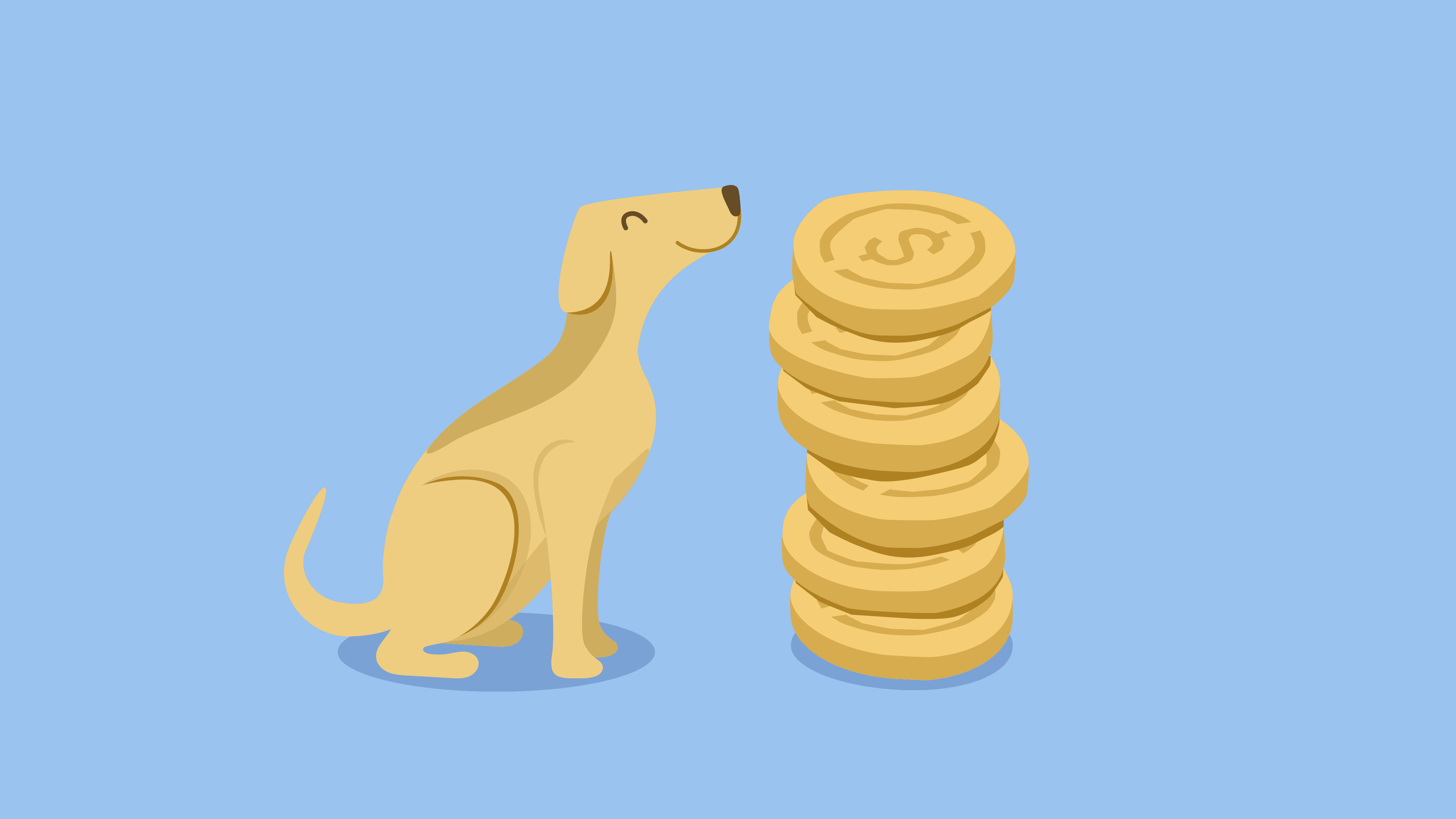 Meet Otto: Money's Best Friend